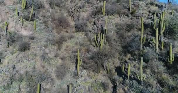 Scène aérienne de drone de montagne rocheuse avec cactus, arbres et arbustes. Ascension montrant les détails de la végétation découvrant une large vallée avec une rivière méandrique. San Agustin, San Juan Province 