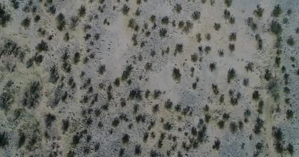 Aerial Senital Drone Scene Desertic Landscape Sandy Surface Vegetation Patterns — Stock Video