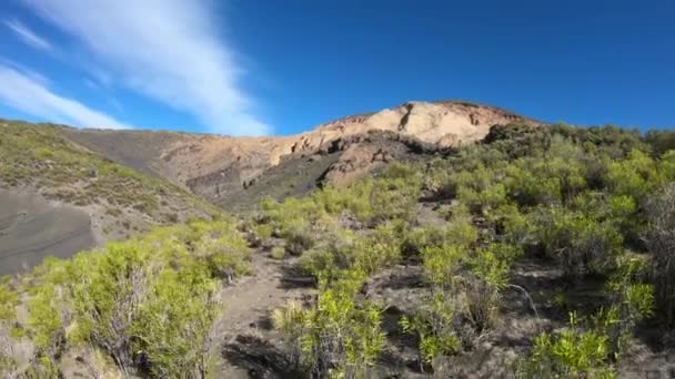 Hand-het gehouden scène van Malacara vulkaan. Reizen langs de inheemse vegetatie met beige berg op de achtergrond. Mendoza, Argentinië. — Stockvideo