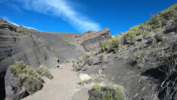 Caminhando dentro do vulcão malacara detritos cinzentos, rio seco de depoimentos vocânicos. Vale negro com vegetação nativa. Mendoza, Argentina . — Vídeo de Stock
