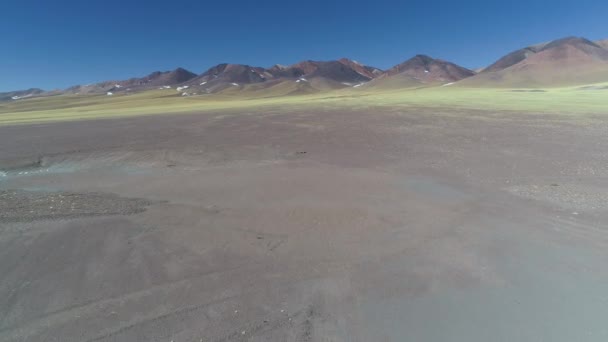 Scène Aérienne Drone Van Voyageant Sur Route Entre Les Montagnes — Video