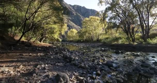 Wandelen op de rotsachtige riverbend Atuel tussen de inheemse bossen op gouden uur. Rivier en de zon aan de rechterkant. Fakkels en volume licht. Mendoza, Argentinië. — Stockvideo