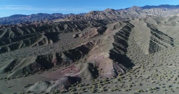 Воздушный беспилотник сцены пустынных красочных сложенных холмов из песка и камня. Камера поднимается на панорамный вид на горы. Коренная растительность покрывает поверхность, Сан-Хуан, Calingasta — стоковое видео
