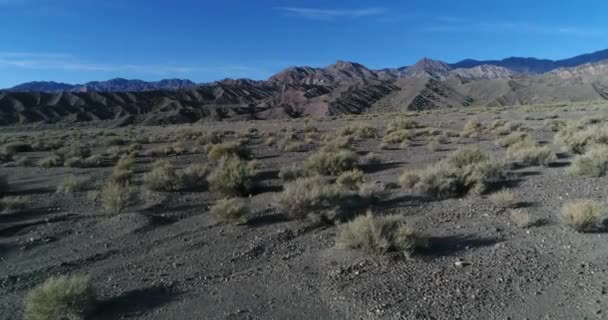 Luchtfoto drone scène van desertic grijs bergachtig landschap. Schaarse inheemse vegetatie heeft betrekking op droge rotsachtige bodem. Vliegen in de buurt van de aarde, uitgehold heuvels op de achtergrond. De provincie van San Juan, Argentinië — Stockvideo