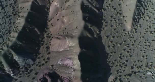 Aerial senital drone scene of eroded hills and dry rivers of desertic ambient. Ascending showing colorfull earth and drawing of water erosion and vegetation on the landscape — Stock Video