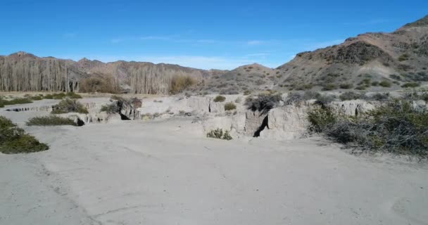 Létání uvnitř rokle řeky El Leoncito. Vzestupně mezi skalnatými stěnami rozrušená vody. Hory a topoly v pozadí. Národní Park El Leoncito, San Juan, Argentina — Stock video