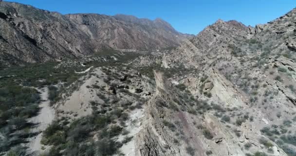 Cena de drones aéreos de vale seco e montanhas dobradas. Voando acima de formações rochosas que emergem da terra com ângulo. A vegetação nativa escassa cobre regiões baixas. província de San Juan, Huaco, Argentina — Vídeo de Stock