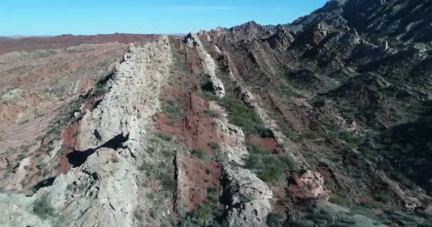 Scène de drone aérien volant au-dessus de formations rocheuses rouges et blanches qui émergent de la terre avec angle. Vue générale de la végétation indigène et des montagnes repliées. Province de San Juan, Huaco, Argentine — Video