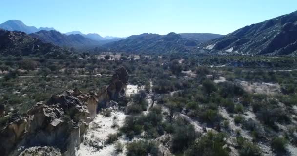 Scena aerea drone che vola a valle verde con boschi nativi che passano vicino a strane rocce. Montagne piegate sullo sfondo. Huaco, provincia di San Juan, Argentina. Paesaggio naturale . — Video Stock