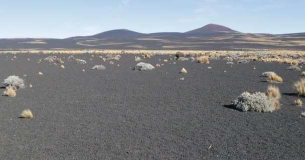 Payunia National Park, zona vulcânica feita de lapilis, substrato vulcânico. Fundo de montanhas vermelhas, pretas e douradas. A câmara fica quieta. Malarge, Cuyo, Mendoza, Argentina . — Vídeo de Stock