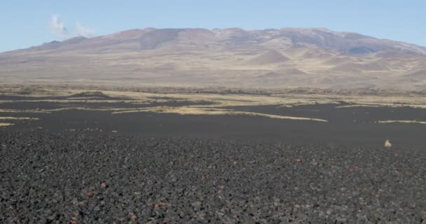 Parc national de Payunia. Payun Matru noir et doré avec ses volcans adventices. Le plus long sentier de lave. Zone volcanique en lapillis rouge et noir. La caméra reste immobile. Mendoza, Argentine — Video