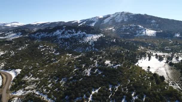 Letecká Drone Scéně Alumine Jezera Villa Pehuenia Moquehue Neuquen Patagonia — Stock video