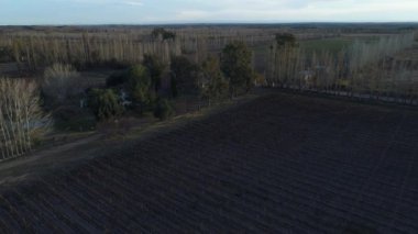 Çiftlik, parsel, üzüm ve şarap üretim, San Rafael, Mendoza satırlarında plantasyon hava dron sahne. Sonbahar, Güz. Kamera aşağı doğru hareket. budama mevsimi. Gün batımı, altın saat uzun gölgeler ile.