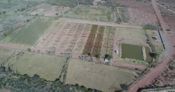 Escena aérea de drones archivada en el campo con sistema de riego circular. Forma de cámara senital a vista frontal. Villa Union, provincia de Rioja, Argentina — Vídeo de stock