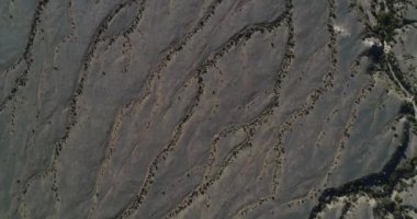 Hava dron kuru nehir desertic pampa peyzaj doğal dokular. Su drenaj sistemi aşağıdaki bitki doğa ven çizimler. Castelli, Rioja Eyaleti, Arjantin