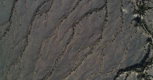 空中ドローン乾燥川風成層のパンパの風景の中の自然なテクスチャ。自然植生水排水システムと静脈図面。カステッリ、リオハ州、アルゼンチン — ストック動画