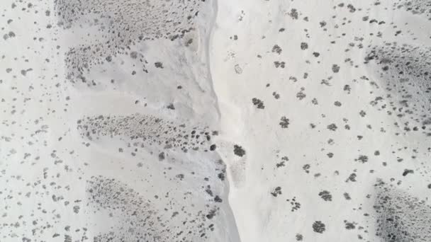 Luchtfoto drone scène bovenaanzicht, senital, van de woestijn met heldere duidelijke beige zand en enkele groene planten. Camera vooruit zich beweegt. Taton, provincie Catamarca, Argentinië. — Stockvideo