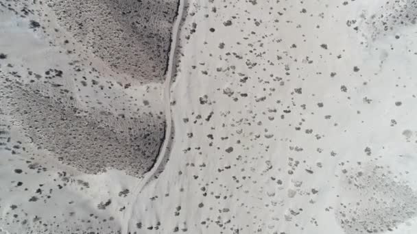 Vista superior aérea da cena do drone, senital, do deserto com areia bege clara brilhante e poucas plantas verdes. estrada de cascalho coberta de areia. Câmara a avançar. Taton, província de Catamarca, Argentina . — Vídeo de Stock