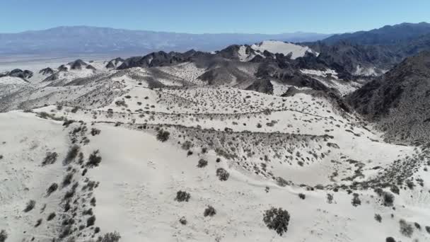 砂丘と山脈といくつかの緑の植物と砂の砂漠の空中ドローン シーン。カメラの移動前方発見風景。タトン、カタマルカ州、アルゼンチン. — ストック動画