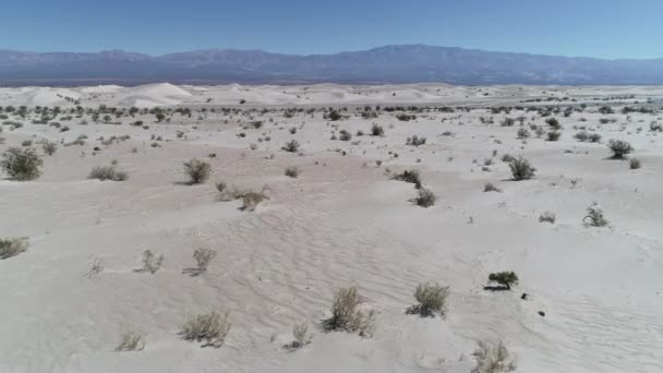 Letecká drone scéně duny a písečné pouště s rostlinami a andes hor v pozadí. Pohybující se vpřed přes meandrean řeku blízko podlahy objevovat krajinu. Taton, Catamarca, Argentina — Stock video