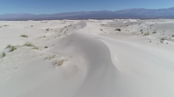 砂丘と砂砂漠植物とアンデス山脈の背景の細部の空中ドローン シーン。前進のカメラは、風景を発見床に近い。アルゼンチンのカタマルカ タトン — ストック動画