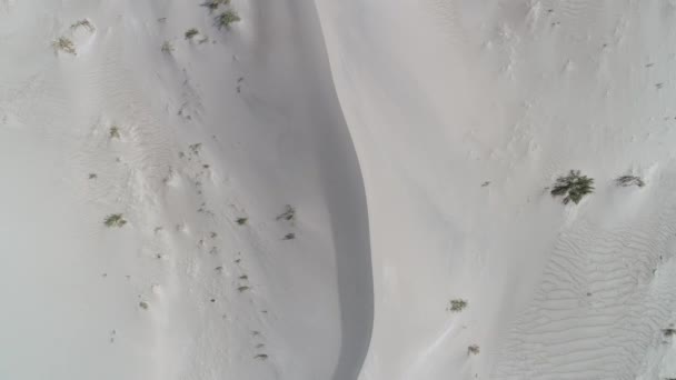 Luchtfoto drone scène bovenaanzicht, senital, detail van woestijn met heldere duidelijke beige zand en enkele groene planten. Camera beweegt naar beneden. Taton, provincie Catamarca, Argentinië. — Stockvideo