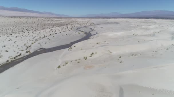 Drohnen-Szene aus der Luft aus Dünen und Sandwüsten mit Pflanzen und den Anden-Bergen im Hintergrund. Vorwärts über den Mittelmeerfluss in Bodennähe und Landschaft entdeckend. taton, katamarca, argentina — Stockvideo