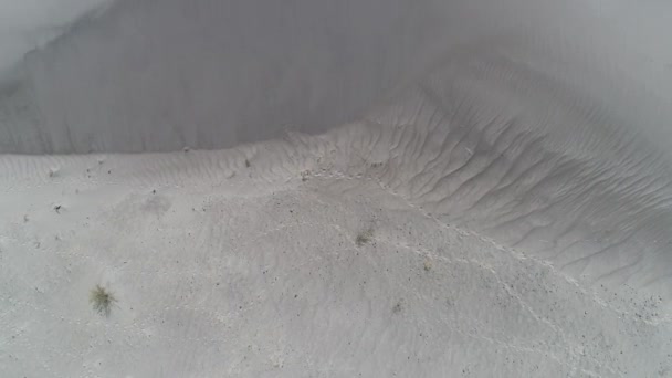 Scena aerea drone vista dall'alto, senital, dettaglio del deserto con sabbia beige chiaro brillante e poche piante verdi. Fotocamera in avanti. Taton, provincia di Catamarca, Argentina. Modello astratto — Video Stock