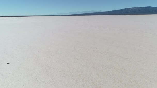 Drone антена сцени ізольованих вивітрювання дерева в midel пустелі barreal в aimogasta, Ла-Ріоха, Аргентина. Камера рухається вперед повільно наближається до підлоги. Андах на тлі. — стокове відео