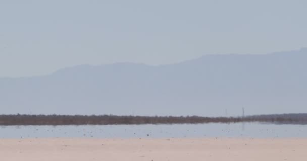 Detalj av hot och mirage effekt på barreal öken på aimogasta, la rioja, argentina. Anderna i bakgrunden. — Stockvideo