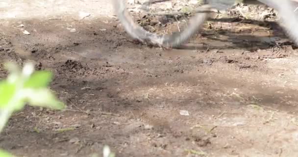 Détail de route de gravier et roue de vélo passant très vite et jetant de la boue sur les côtés. Course cycliste à Londres, Province de Catamarca, Argentine . — Video