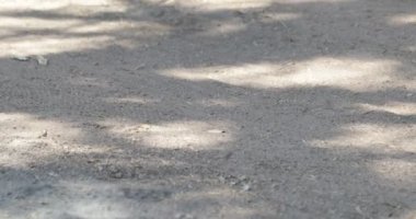 Ayrıntı çakıl yol ve bisiklet tekerleği geçen çok hızlı. Havadaki toz. Bisiklet yarışında Londres, Catamarca Eyaleti, Arjantin.