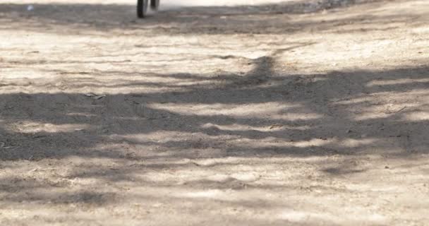 Détail de route de gravier et roue de vélo passant très vite. De la poussière dans l'air. Course cycliste à Londres, Province de Catamarca, Argentine . — Video