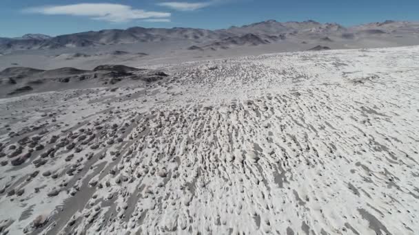 Letecká drone scéně rozšířené obecné přírodní vzor bílý kámen struktur, pemzy pole. Šedá písčitá erodované hory v pozadí. Catamarca, Argentina — Stock video