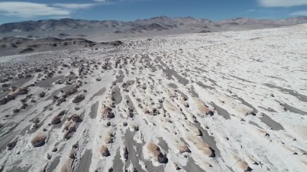 Scena dronelor aeriene cu model natural extins de structuri de rocă albă, câmp ponce. Zburând înapoi, nisip gri erodat munți în fundal. Catamarca, Argentina — Videoclip de stoc