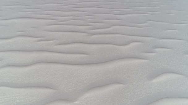 Сцена воздушного беспилотника из серых песчаных дюн, летающих птиц, демонстрирующих естественный абстрактный рисунок пустыни. Antoffesta de la sierra, Катамарка, Аргентина — стоковое видео