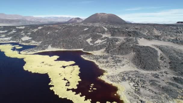 Escena aérea de drones moviéndose hacia atrás sobre la laguna azul y roja mostrando los volcanes de Alumbrera y Antofagasta al fondo. Paisaje negro desértico. Antofagsta de la Sierra, Catamarca, Argentina — Vídeo de stock