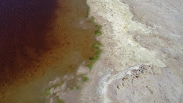 Escena de drones aéreos senitales de lago rojo y desierto gris. Volando a lo largo del borde. Laguna de Antofagasta. Antofagasta de la Sierra, Catamarca, Argentina — Vídeo de stock