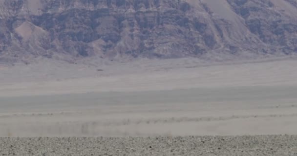 Primer plano del efecto de la neblina de calor en el suelo del desierto. Montañas al fondo. Antofagasta de la Sierra, Catamarca, Argentina — Vídeos de Stock