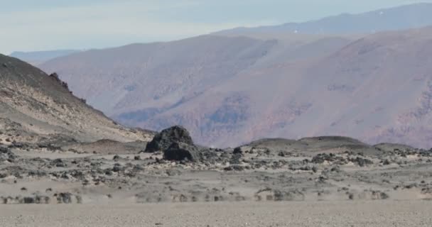 Primer plano del efecto de neblina de calor en la cama negra del suelo de lava. Color del desierto capa montañas en el fondo. Antofagasta de la Sierra, Catamarca, Argentina — Vídeos de Stock