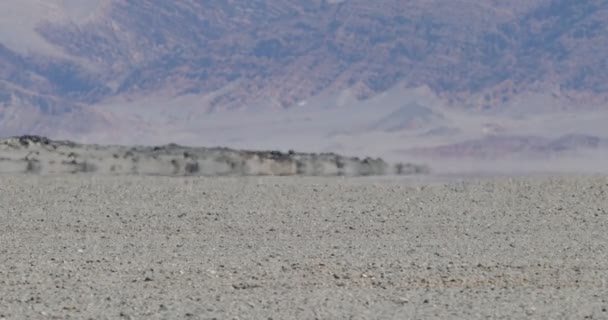 Gros plan de l'effet de brume de chaleur sur le lit noir de plancher de lave. Desert couleur couche montagnes à l'arrière-plan. Antofagasta de la Sierra, Catamarca, Argentine — Video