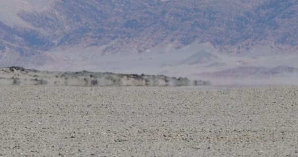 Närbild på heat haze effekt på svart säng av lava golv. Öknen färg lager bergen i bakgrunden. Antofagasta de la Sierra, Catamarca, Argentina — Stockvideo