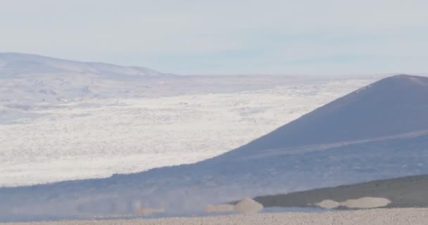 Närbild på heat haze effekt på Miga vulkaniska landskapet. Svart Carachi Pampa vulkan i bakgrunden. Antofagasta de la Sierra, Catamarca, Argentina — Stockvideo