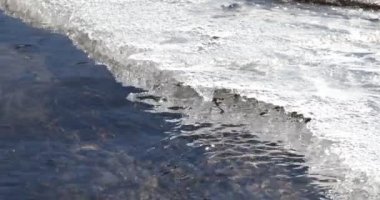 Donmuş buzun altında akan saf şeffaf derenin yakınçekimini yapın. Yaz mevsiminde, küçük nehirde buzlar eriyor. Doğal dokular. Antofagasta de la Sierra, Catamarca, Arjantin