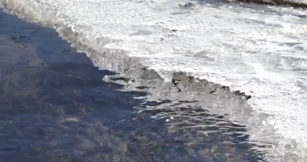 Närbild av ren transparent ström som rinner under fryst is. Sommartid, isen smälter över lilla floden. Naturliga texturer. Antofagasta de la Sierra, Catamarca, Argentina — Stockvideo