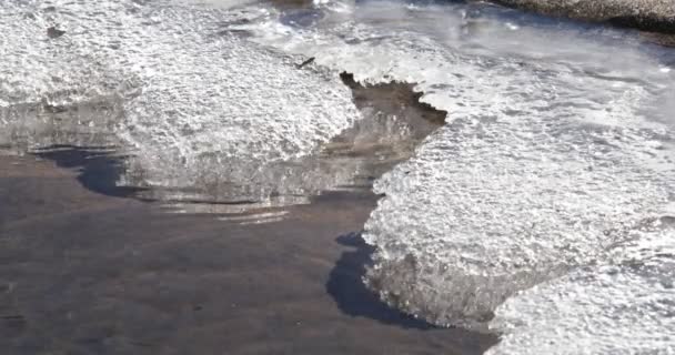 Donmuş buzun altında akan saf şeffaf derenin yakınçekimini yapın. Yaz mevsiminde, küçük nehirde buzlar eriyor. Doğal dokular. Antofagasta de la Sierra, Catamarca, Arjantin — Stok video