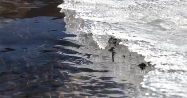 Close-up van zuivere transparante stroom die onder bevroren ijs stroomt. Zomertijd, ijs smelten over kleine rivier. Natuurlijke texturen. Antofagasta de la Sierra, Catamarca, Argentinië — Stockvideo