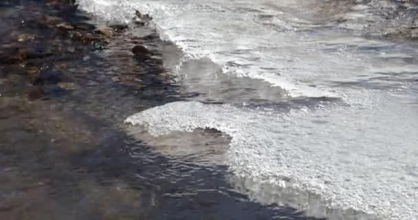 Close-up van zuivere transparante stroom die onder bevroren ijs stroomt. Zomertijd, ijs smelten over kleine rivier. Natuurlijke texturen. Antofagasta de la Sierra, Catamarca, Argentinië — Stockvideo