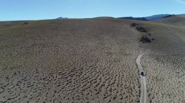 4 x 4 van, parkur otlar ve yaşlı kayalar ile yüksek dağın altın manzaraya yoldan sürüş hava dron sahne. Galan volkan gezi, Antofagasta de la Sierra, Catamarca, Argentina.