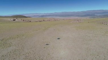 Derma yayla altın otlar ve kırmızı kaya oluşumları hava dron sahne. Antofagasta de la Sierra, Catamarca, Arjantin geniş peyzaj